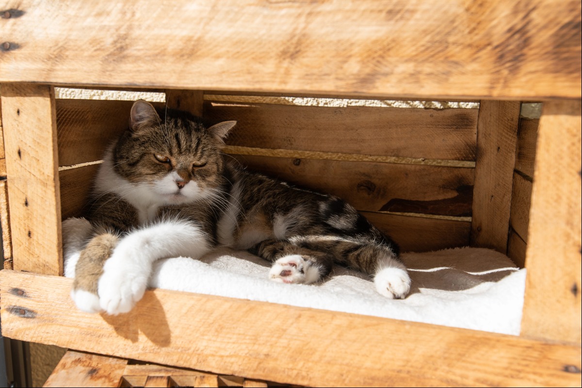 under camper bed storage